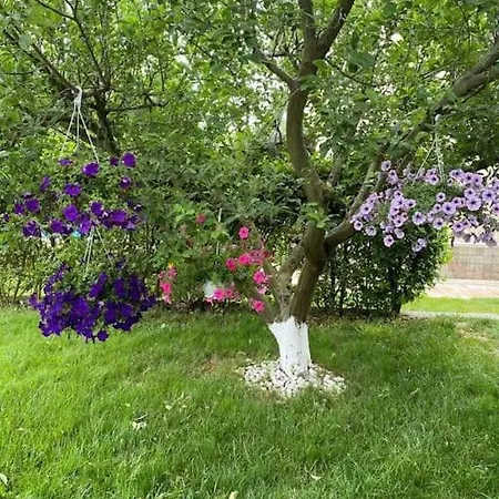 Villa Elegance Kocaeli