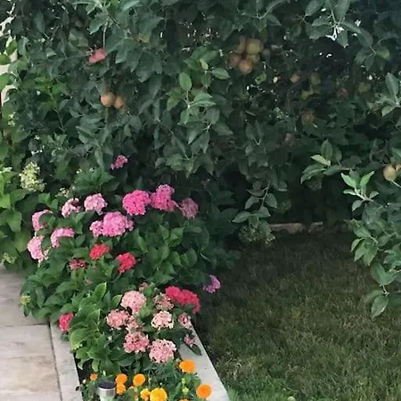 Willa Elegance Kocaeli
