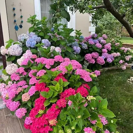 Villa Elegance Kocaeli