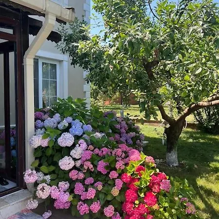 Elegance Villa Kocaeli