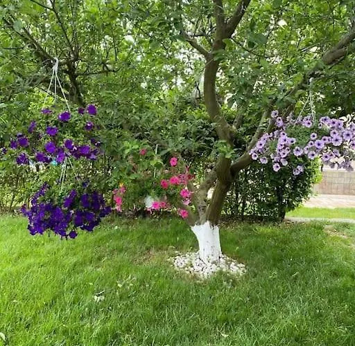 Villa Elegance Kocaeli