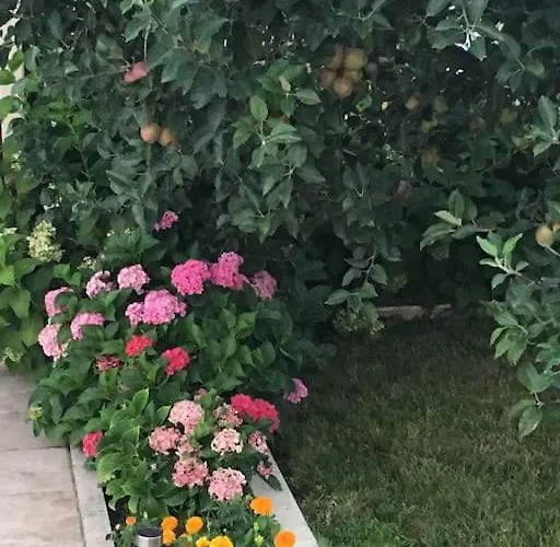 Villa Elegance Kocaeli