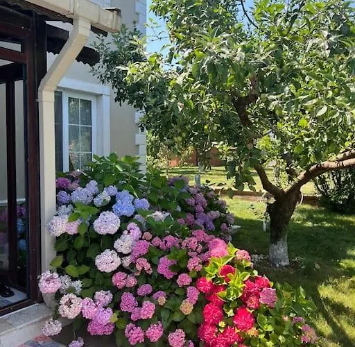 Elegance Villa Kocaeli